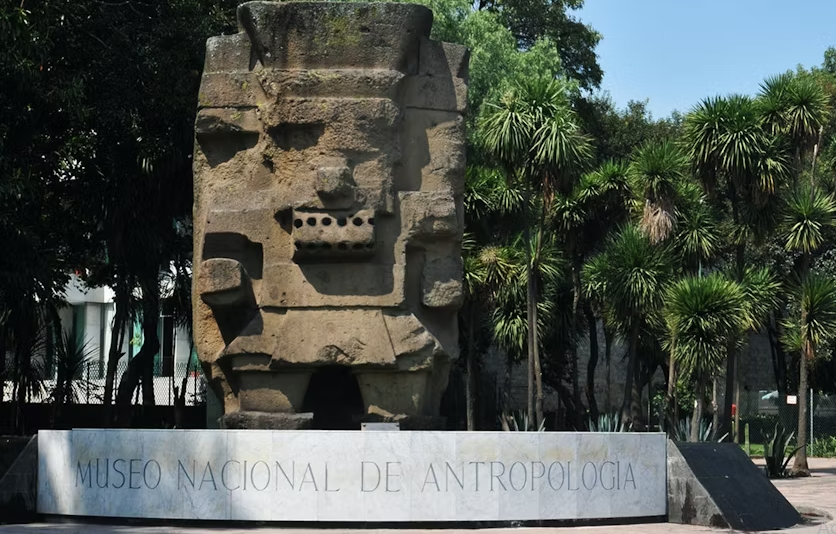 Private sightseeing tour of Mexico City - Image 5